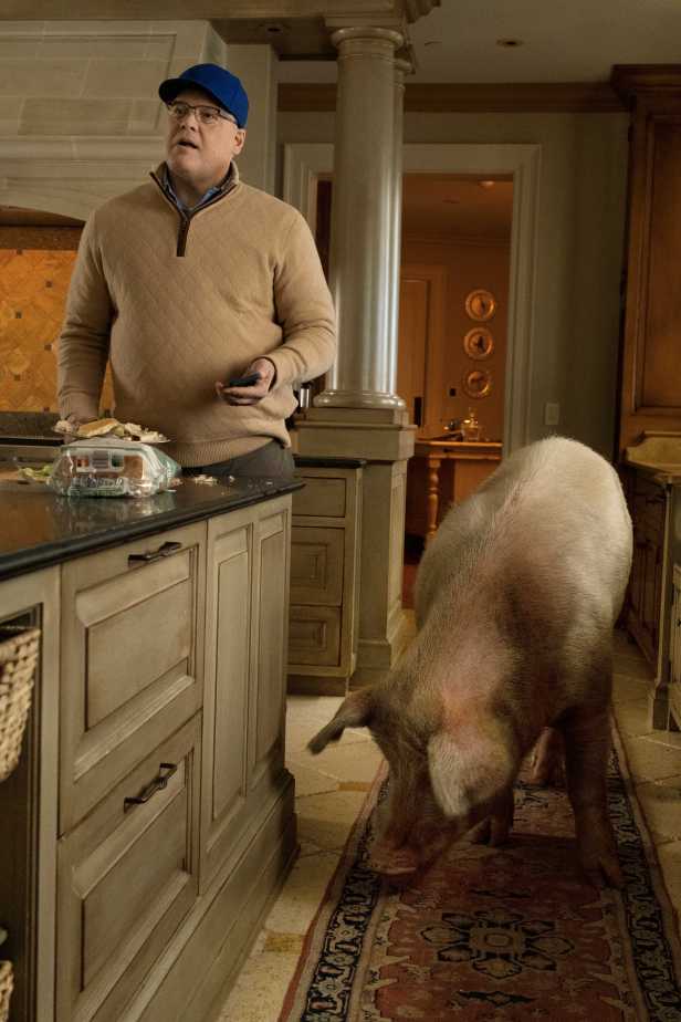 Vincent D'Onofrio shares a scene with a pig in "Dumb Money." (Claire Folger/Sony Pictures)