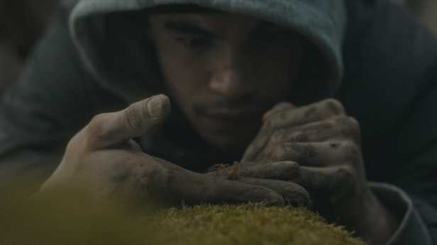 Theo Christine in Sébastien Vanícek’s creature-feature "Infested." (Photo from Shudder)