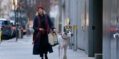 Naomi Watts and Bing in a scene from "The Friend." (Bleecker Street)